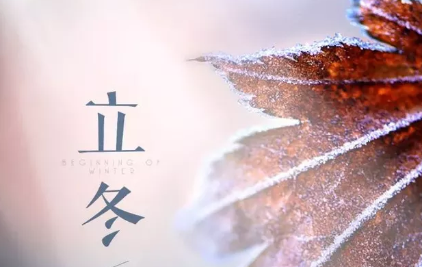 立冬已至，夏秋已逝